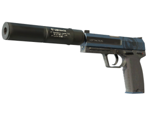 StatTrak™USP-S|Страж